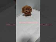 Pet Trainging Polymer Urinal Pad Super Absorbent Sanitary