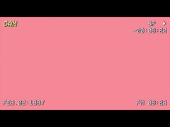 We Will Be On Spring Festival Holiday: Jan 21-26th