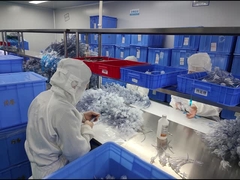 Endotracheal Tube Production